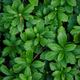 Illustration for article titled 21 Stupendous Photos of Spring